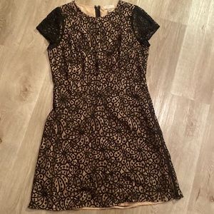 Loft black cream dress